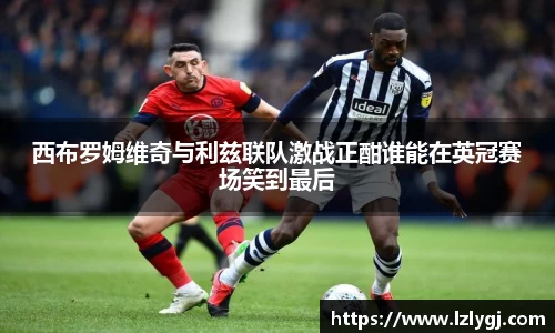 zoty中欧